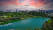 © Pedro - Aerial view of Ibirapuera Park in São Paulo, SP. Residential buildings around. Lake in Ibirapuera Park.