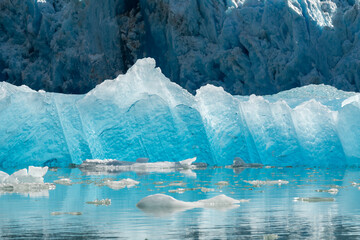 Wall Mural - Ice berg floating near the face of South Sawyer Glacier in South East Alaska