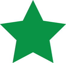 Vector  Green Star Icon