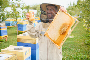 Wall Mural - Beekeeper is working with bees and beehives on the apiary. Beekeeping concept