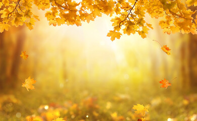 Wall Mural - falling leaves natural background.