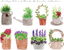 A Set Of Cute Hand Painted Plants And Pots