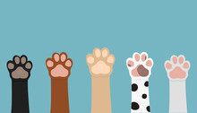 Poster With Different Colors Cat\dog Paws On Blue Background. Illustration Can Be Used Like Poster Or Print For Children Or In Veterinary Clinics Or Shops.