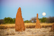 © Austockphoto - Ant hills with the full moon rising in the background.