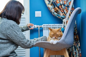 Wall Mural - Cat lying on chair near heating radiator, woman regulating temperature