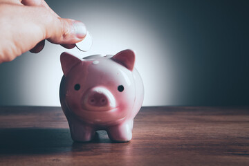 Wall Mural - Hand putting coin to piggy bank