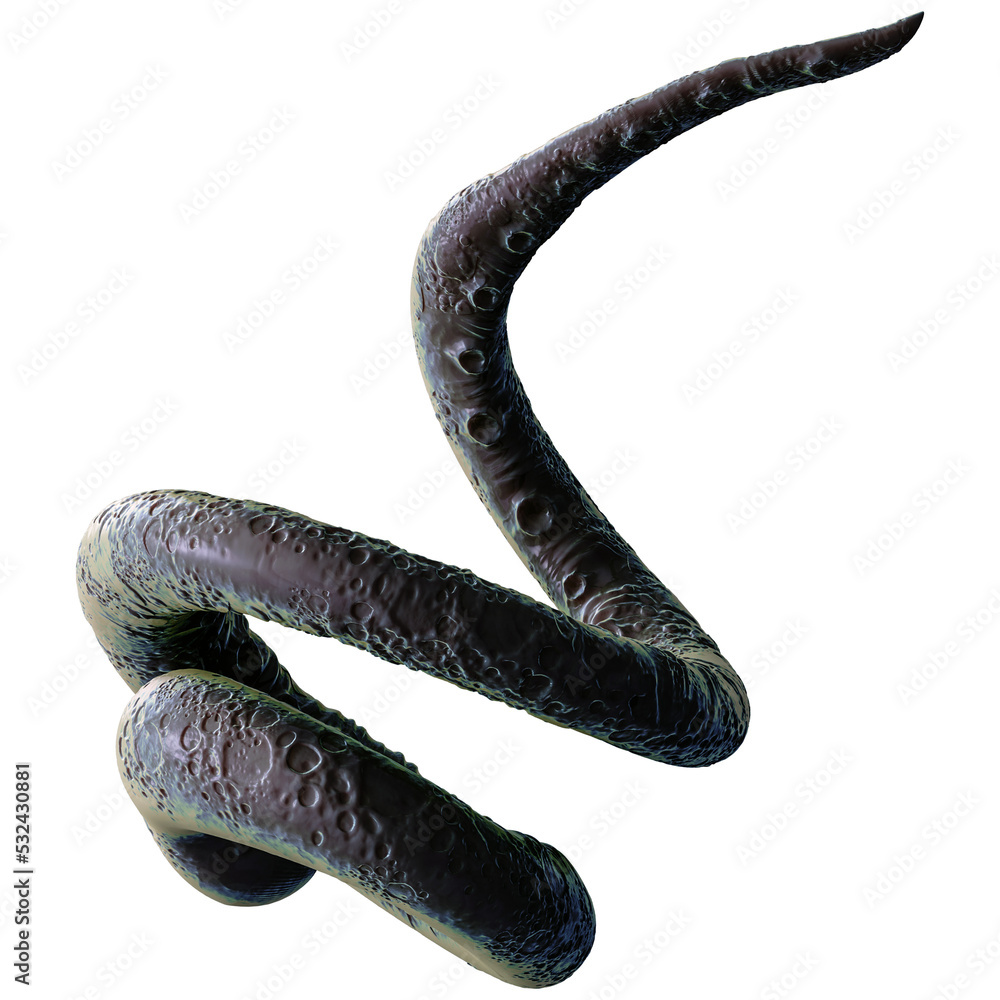 Tentacle CG Illustration with PNG Transparent Background Stock