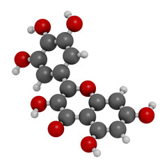 Poster - Myricetin flavonoid molecule, 3D rendering.