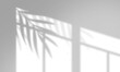Leinwandbild Motiv Leaves and window pane shadow overlay effect