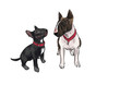 two bulteriers with red collar png