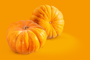 Wall Mural - Ripe fresh pumpkin. Squash orange vegetable autumn fruit for food health benefits, or traditional Halloween decoration or a Thanksgiving fall design