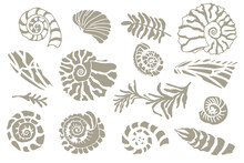 Set Of Silhouette Stencil Seashells And Plants Hand Drawn Ocean Shell Or Conch Mollusk Scallop Sea Underwater Animal Fossil Nautical And Aquarium, Marine Theme. Vector Illustration