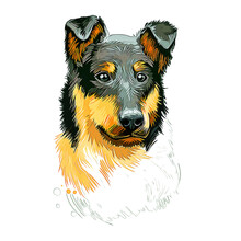 Smooth Collie Dog Breed Watercolor Sketch Hand Drawn Painting Silhouette Sticker Illustration Sublimation EPS Vector Graphic
