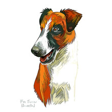 Smooth Fox Terrier Dog Breed Watercolor Sketch Hand Drawn Painting Silhouette Sticker Illustration Sublimation EPS Vector Graphic