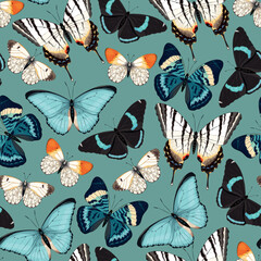 Wall Mural - Vector pattern with high detailed tropic butterfly