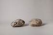 group of two pebbles on neutral background
