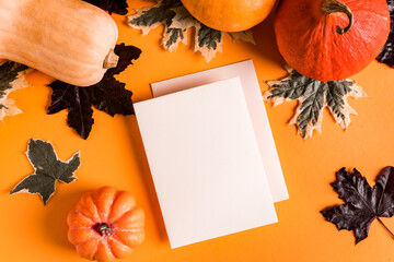 Wall Mural - Autumn pumpkins and blank card