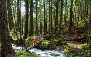 Poster - Hiker near waterfall