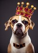 King dog