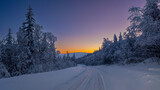 Fototapeta Na ścianę - winter sunset in the forest