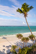 canvas print picture - Strand an einer Küste in der Karibik, mit Palmen, türkisfarbenes Wasser und ein blauer Himmel auf der Insel Sansibar in Tansania, Afrika.