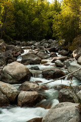 Canvas Print - mountain river with rocks. Beautiful nature and landscape
