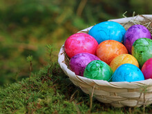 Colorful Easter Eggs In A Straw Basket On Green Moss In The Forest, Close Up Of Painted Eggs In The Nature At Easter Time