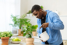 Young Black Guy Taking Care Of Houseplants