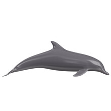 3d Rendering Illustration Of A Dolphin
