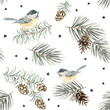 Christmas seamless pattern, titmouse birds, green twigs, pine cones, stars, white background. Vector illustration. Nature design. Season greeting. Winter Xmas holidays