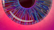 © Denis Kirichkov/Stocksy - Bright color Iris and eye. Fragment.