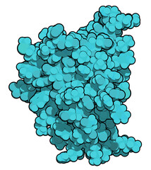 Poster - Interleukin 2 (IL-2) cytokine protein. Aldesleukin is a recombinant analog of IL-2 that is used in the treatment of cancer. 3D rendering based on protein data bank entry 1z92.