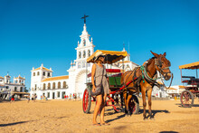 A Tourist Next To Horses And Carriages In The Rocio Sanctuary In The Festival Of El Rocio In Summer