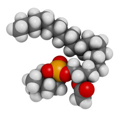 Sticker - Platelet Activating Factor (PAF) signaling molecule, 3D rendering.