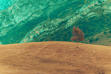 Wall Mural - landscape in the mountains