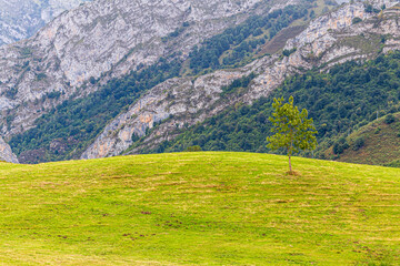 Sticker - landscape in the mountains