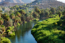 Green Oasis With A River And Palm Trees In Baja Mexico