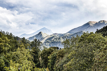 Wall Mural - landscape with mountains