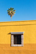 Rustic Window In A Yellow Wall With A Palm Tree Behind In The Sky