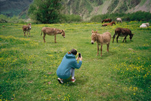 A Girl On A Trip In The Mountains Takes Pictures On Donkeys