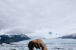 © Anastasia Mihaylova (Shpara)/Stocksy - Nude woman near glacier lagoon in Iceland