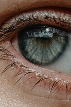 Macro Photo Of An Human Eye 