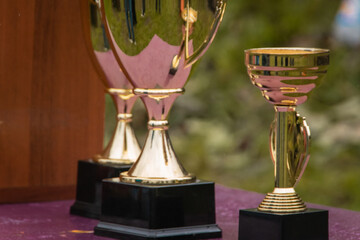award cup