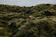 © Anastasia Mihaylova (Shpara)/Stocksy - Young slim woman in fetal position on the green moss in Iceland