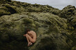 © Anastasia Mihaylova (Shpara)/Stocksy - Young woman in fetal position lying n the green moss in Iceland