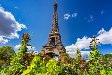 Wall Mural - Eiffel Tower in summer season with flowers blooming, Paris. France