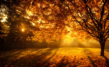 An Autumn Scene, Falling Leaves, Digital Art