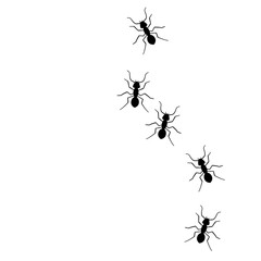 Ant vector trail marching illustration. Ant bug pest control background teamwork