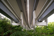 © Andriy Bezuglov/Stocksy - Bridge crossing through the middle of the city under sky and trees