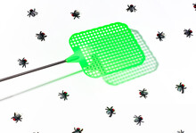 Fly Swatter And Flies 